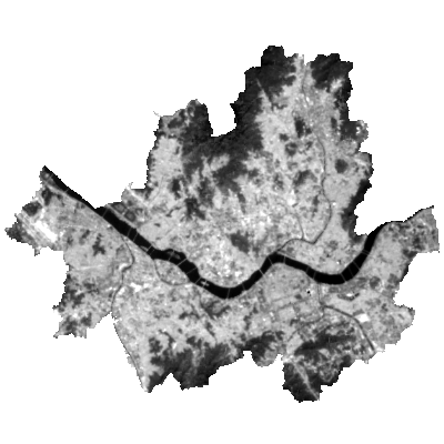 Export Image